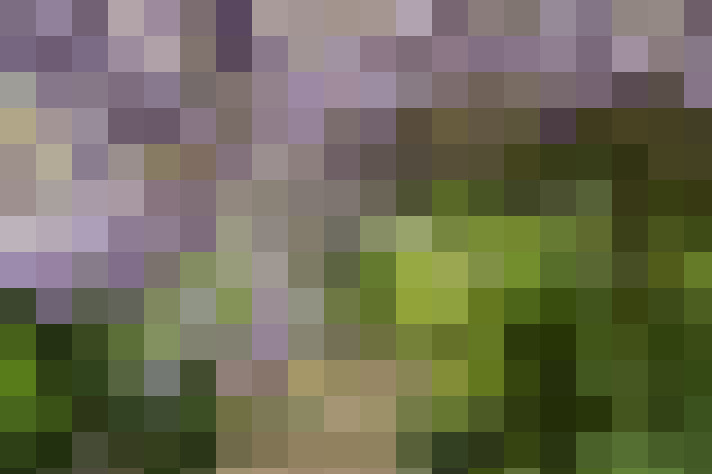  / #63
