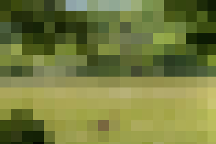  / #68