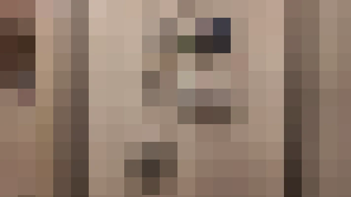  / #15