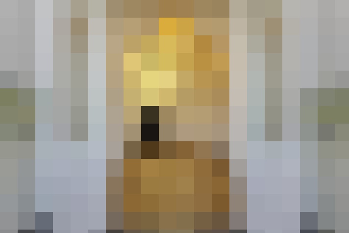  / #2