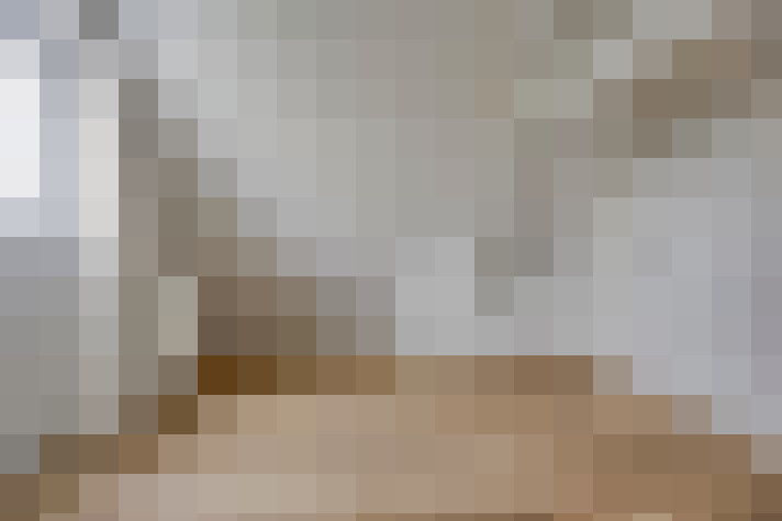  / #29