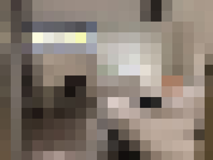  / #21