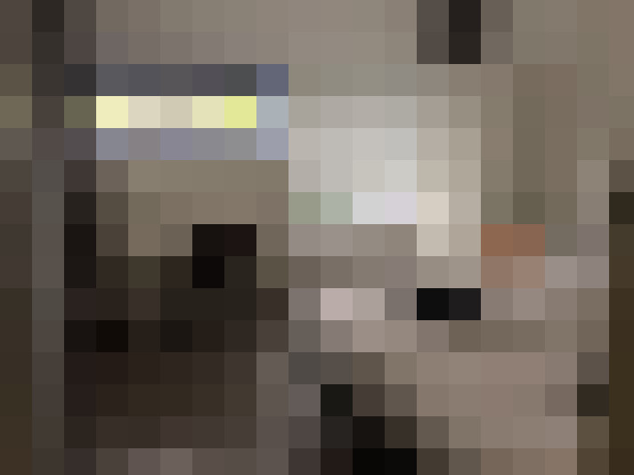  / #16