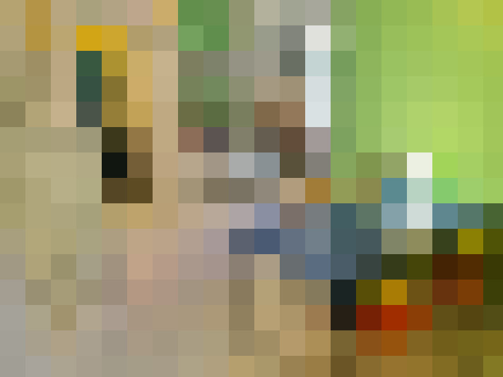  / #10