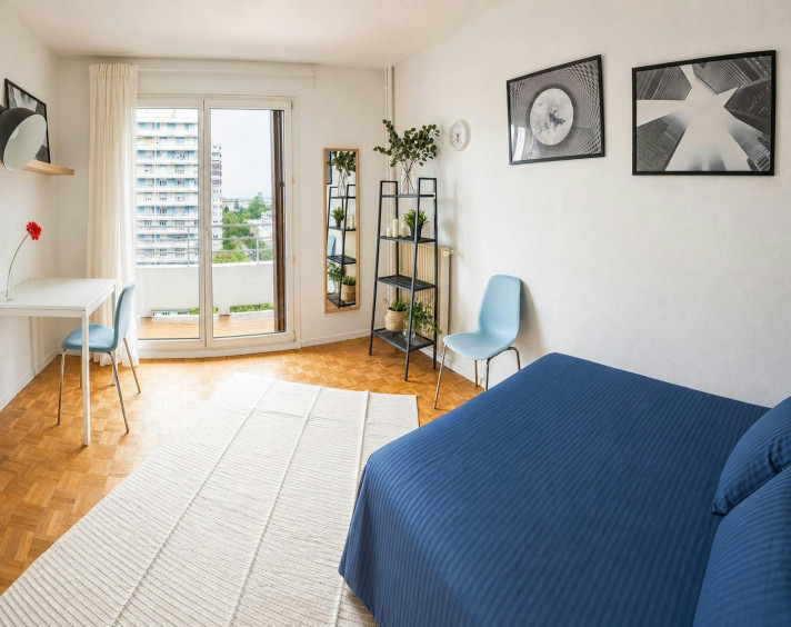 Voir la photo 1/20 du type room à Strasbourg
