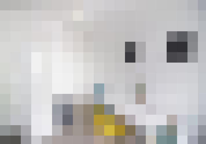  / #13