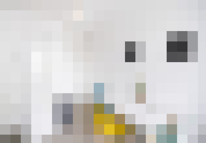  / #14