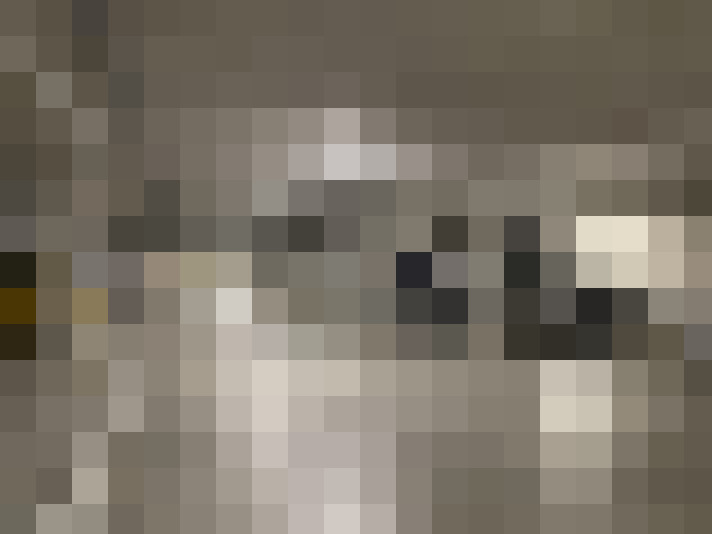  / #37