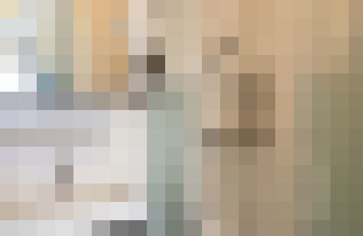  / #14