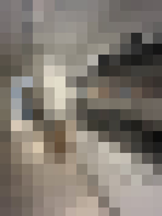  / #15