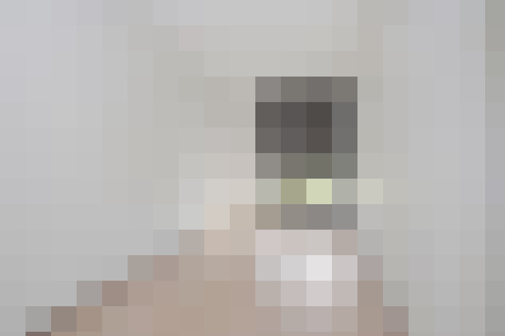  / #21