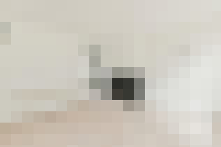  / #25
