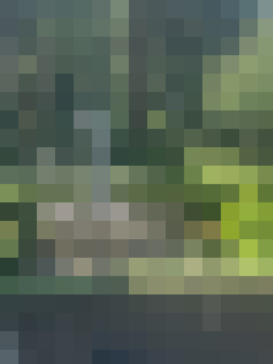  / #14