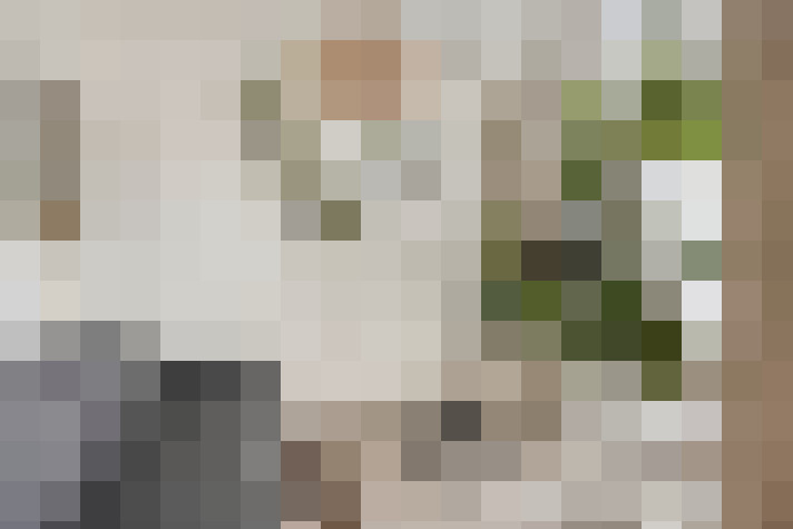  / #20