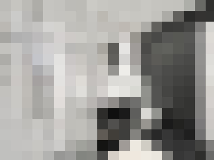  / #19