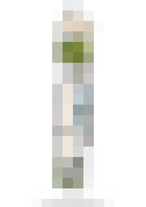  / #31