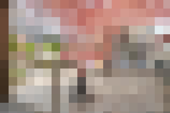  / #19