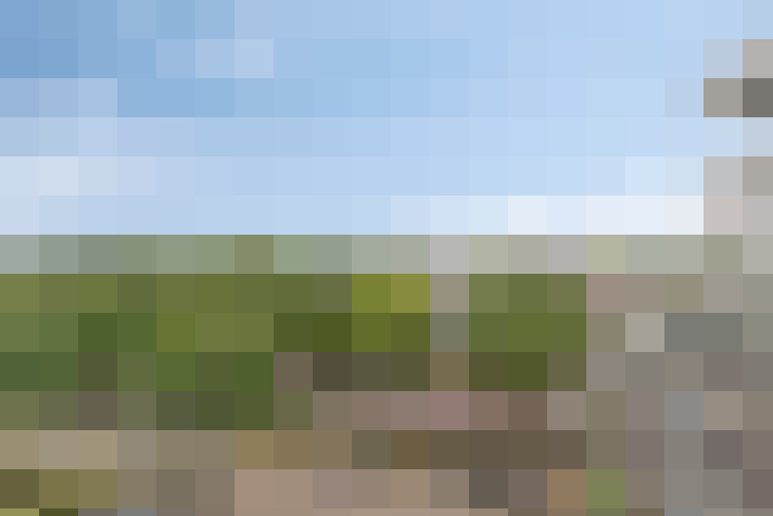  / #61