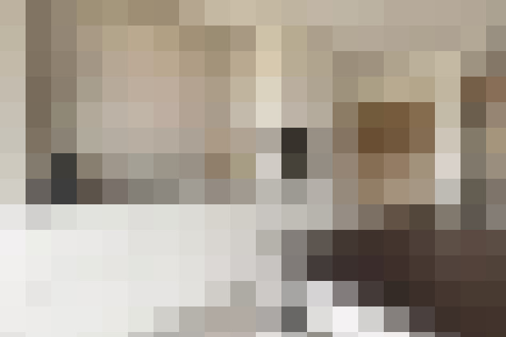  / #16