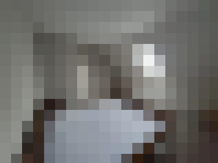  / #31