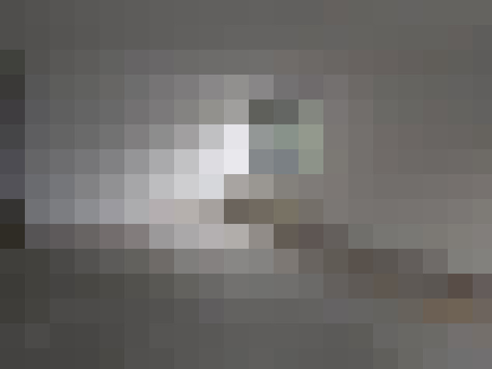  / #20