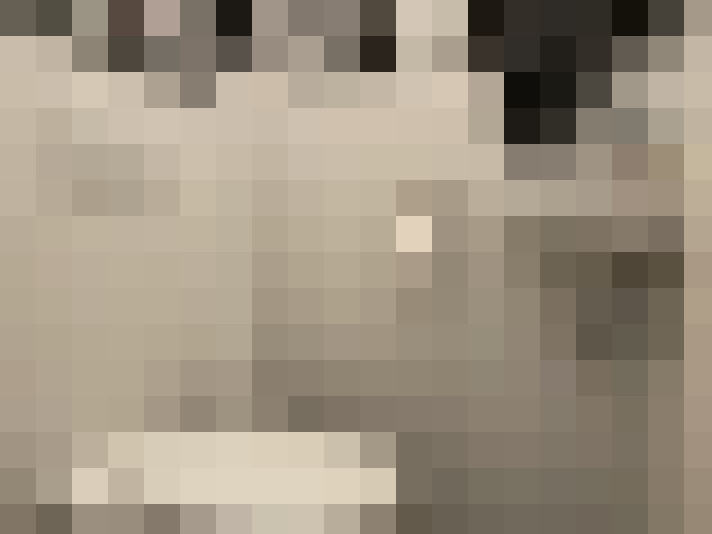  / #20