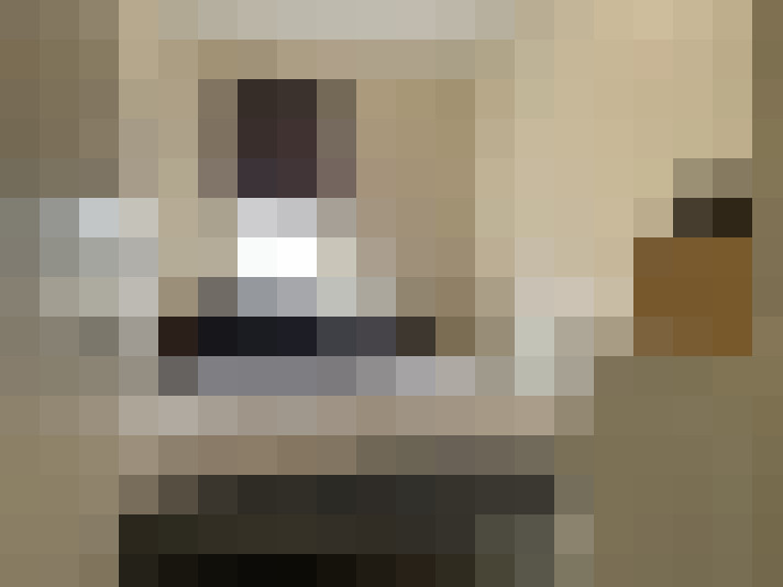  / #26