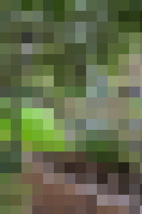  / #46