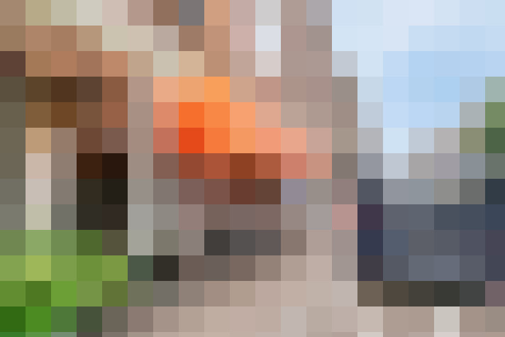  / #24