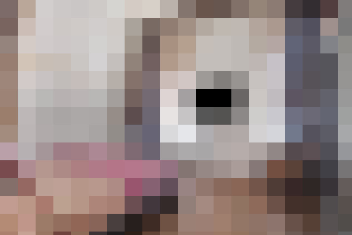  / #17