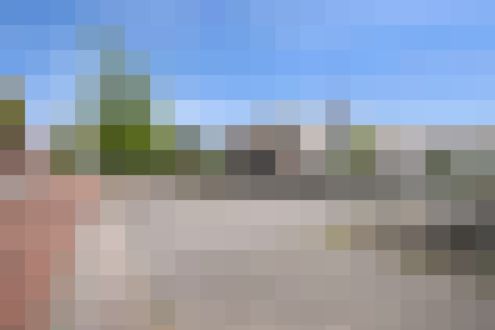  / #61