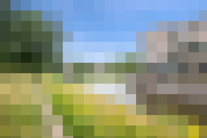  / #59