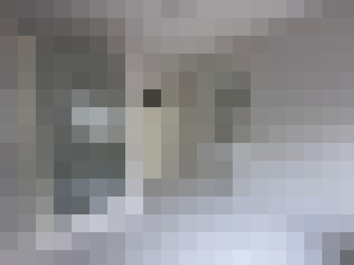  / #19