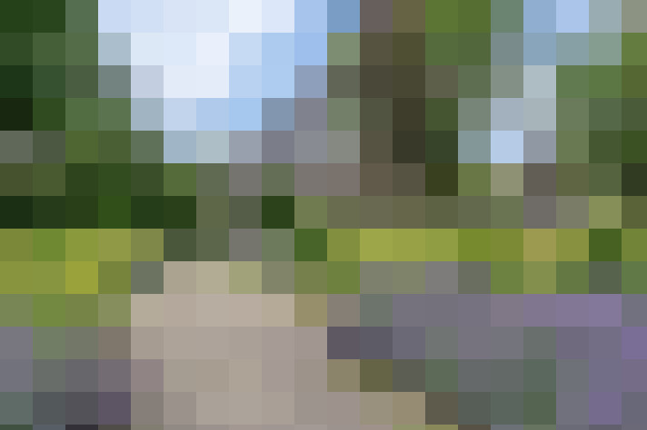  / #31