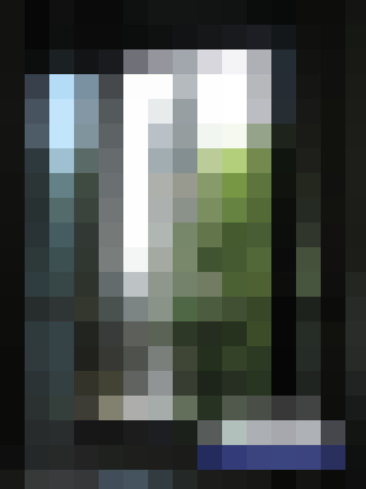  / #8
