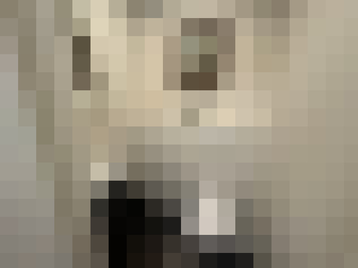  / #20