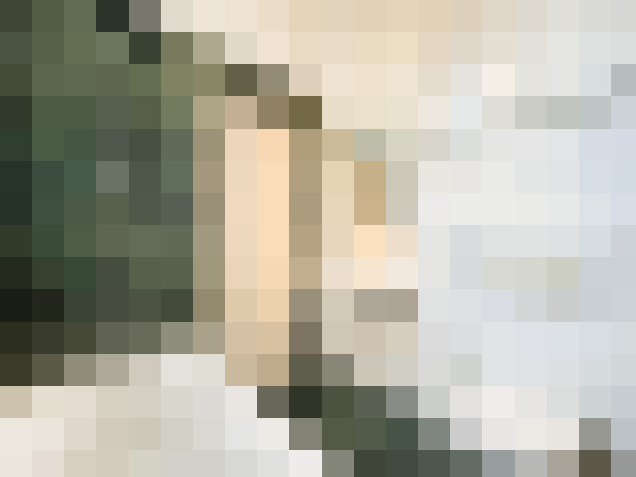  / #20