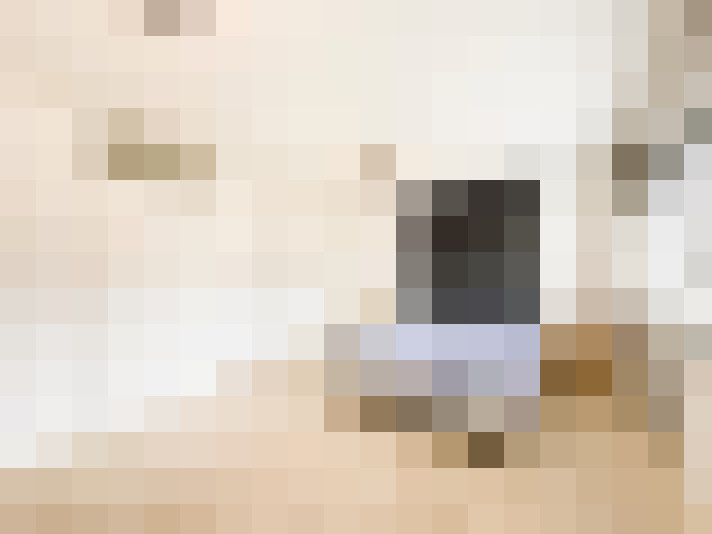  / #15