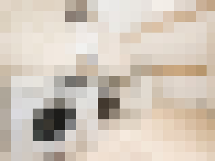  / #24