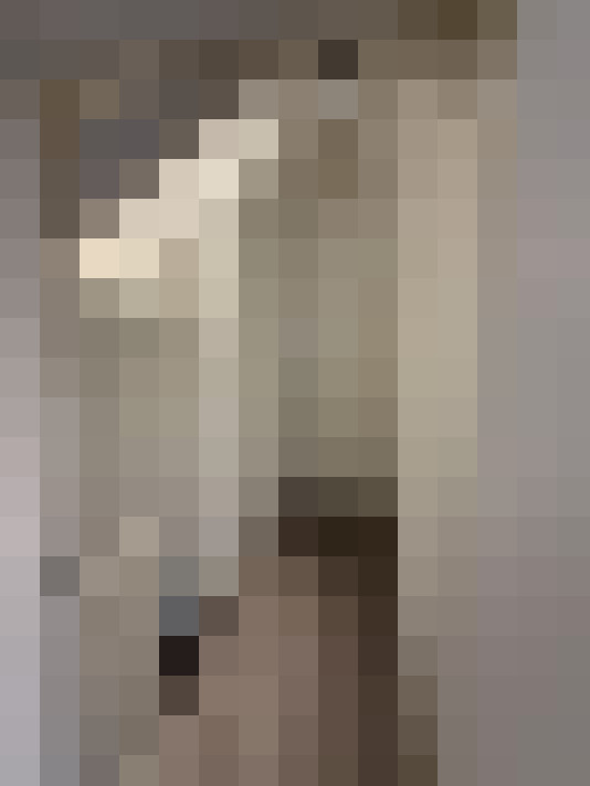  / #18