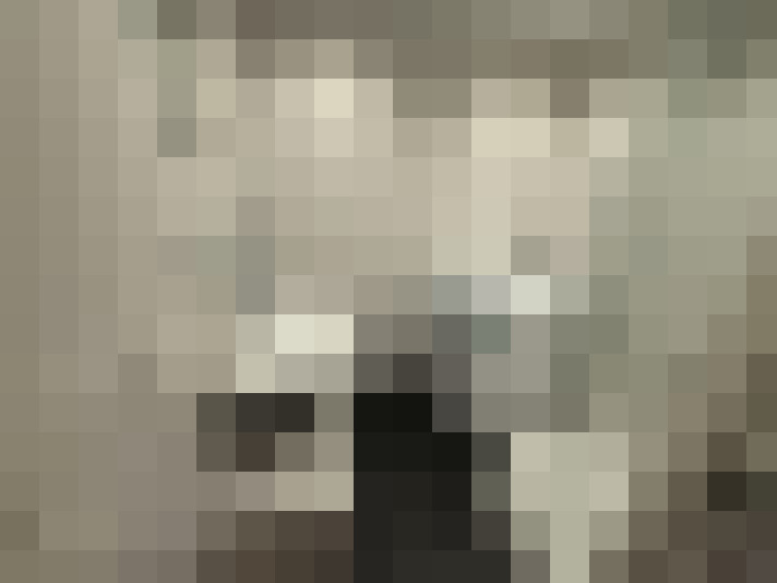  / #24
