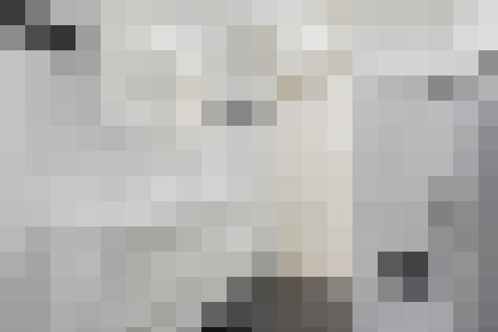  / #24