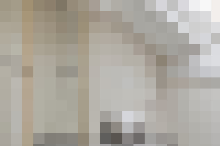  / #31
