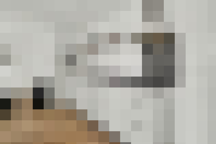  / #13