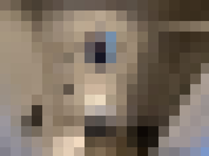  / #21