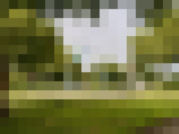  / #33