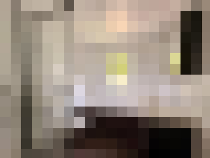  / #23