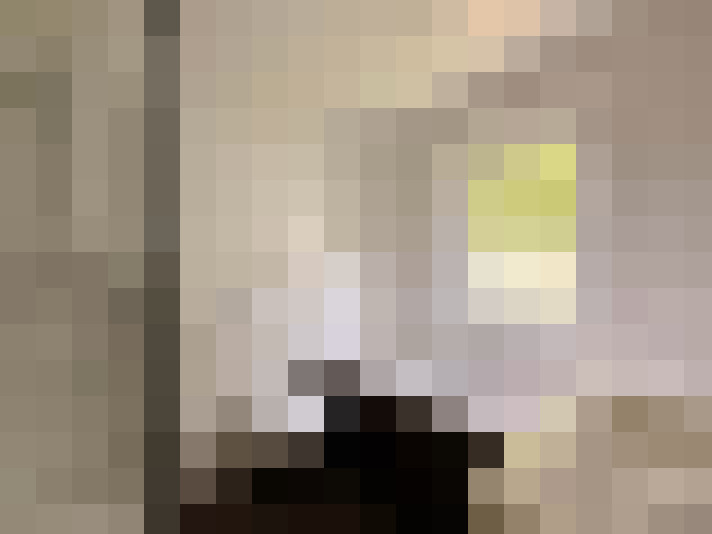 / #24