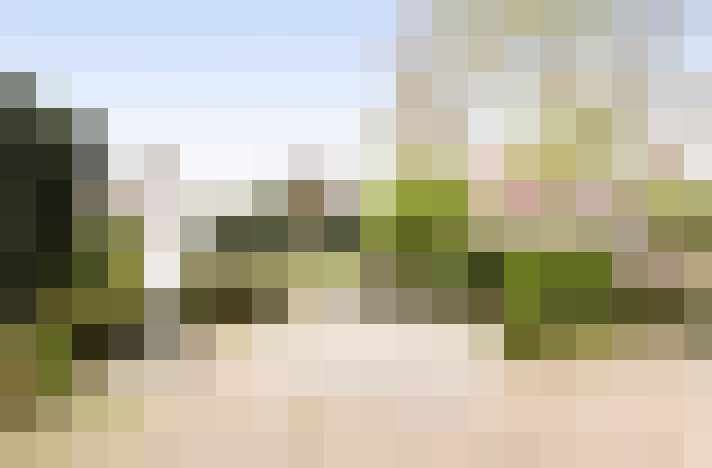  / #16