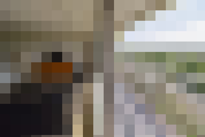  / #14